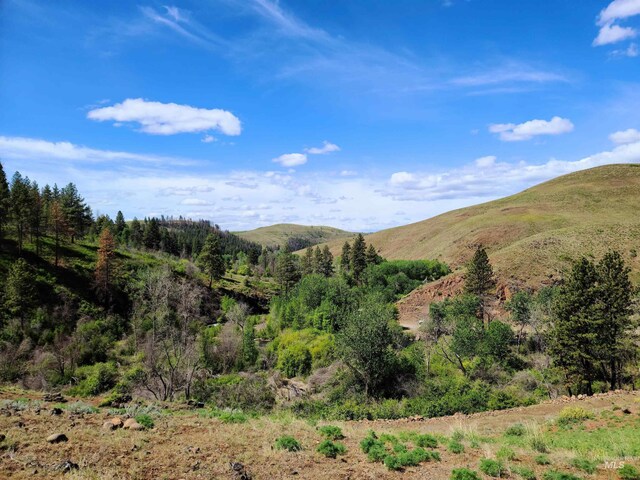 LOT5 Middle Fork Rd, Council, ID 83612