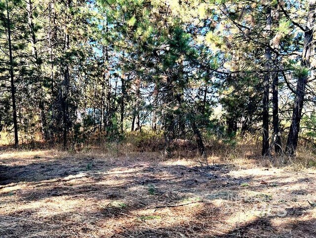 TBD2 Elo Rd, Mccall, ID 83638
