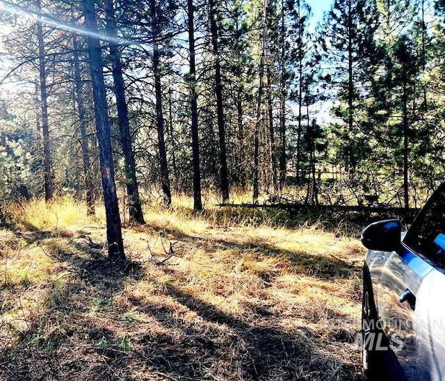 TBD2 Elo Rd, Mccall, ID 83638