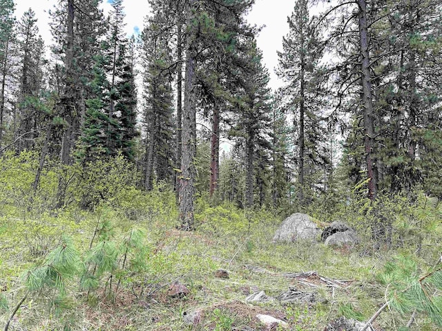 TBD2 Elo Rd, Mccall, ID 83638