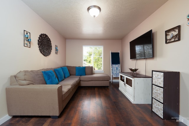 6524 S Derbyshire Ave, Boise, ID 83709 - living room featuring dark wood finished floors, a textured ceiling, and baseboards