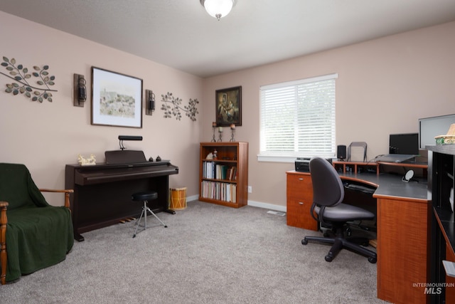 6524 S Derbyshire Ave, Boise, ID 83709 - office space with carpet and baseboards