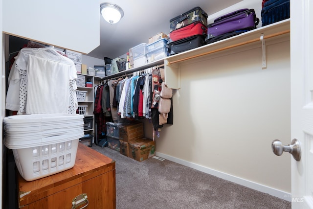6524 S Derbyshire Ave, Boise, ID 83709 - spacious closet featuring carpet floors
