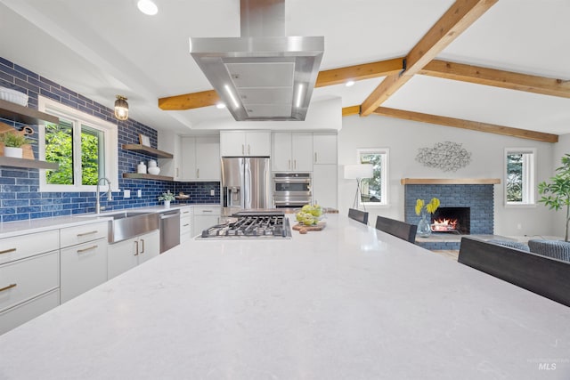 141 E Hearthstone Dr, Boise, ID 83702 - kitchen featuring stainless steel appliances, ventilation hood, open shelves, a sink, and open floor plan