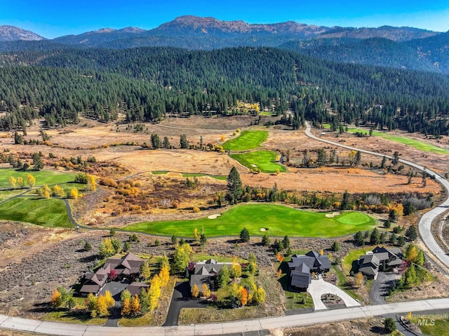 aerial view with a mountain view