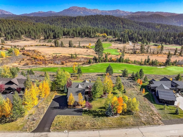 birds eye view of property with a mountain view