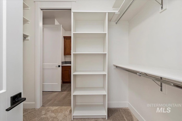 walk in closet featuring light carpet