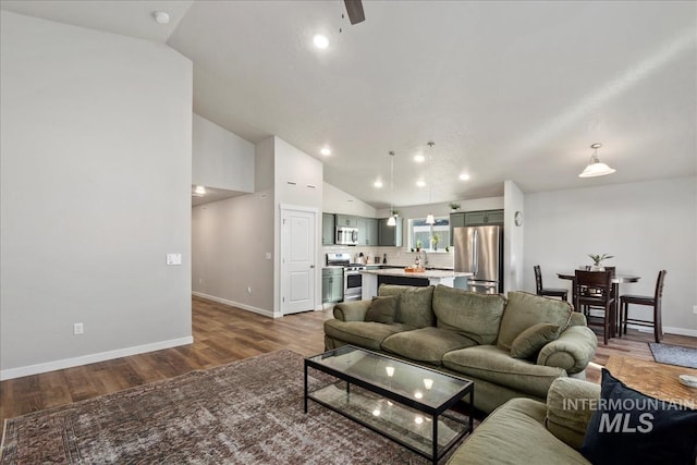 living room featuring wood-type flooring and high vaulted ceiling