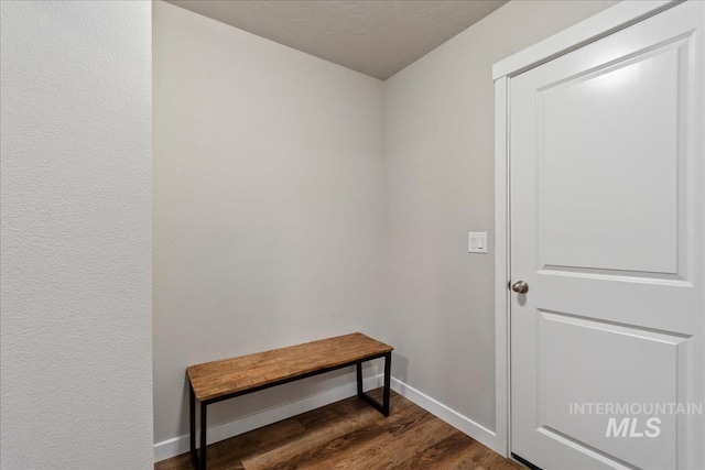 doorway to outside with dark hardwood / wood-style floors