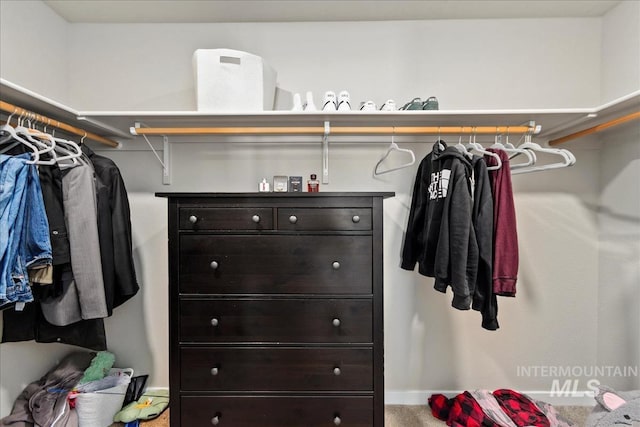 spacious closet featuring carpet