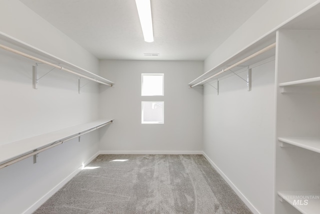 2735 N Silver Wolf Ave, Star, ID 83669 - walk in closet featuring visible vents and carpet