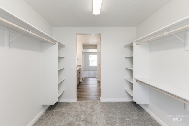 2735 N Silver Wolf Ave, Star, ID 83669 - walk in closet with carpet flooring