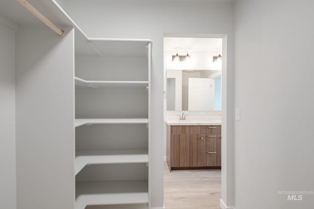 11093 Canvas St, Caldwell, ID 83605 - spacious closet with a sink and wood finished floors