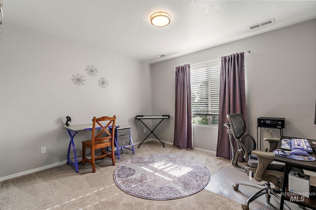 13221 S Clarion River Ave, Nampa, ID 83686 - office featuring light carpet and baseboards