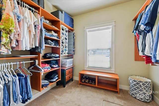 walk in closet featuring carpet flooring