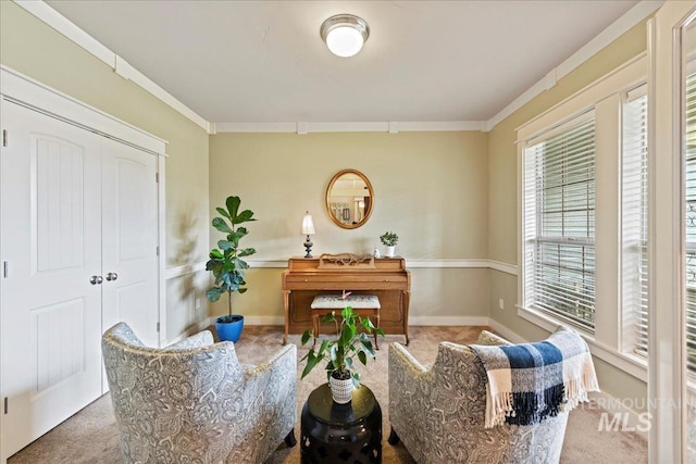 sitting room featuring carpet floors, ornamental molding, and baseboards