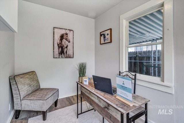 office space featuring wood-type flooring