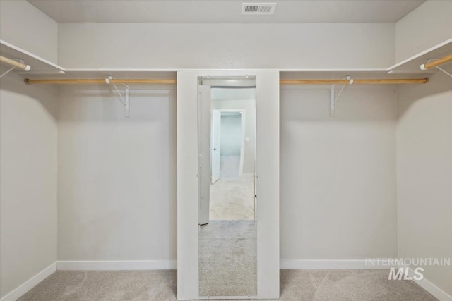 4217 S Leaning Tower Ave, Meridian, ID 83624 - spacious closet with carpet flooring