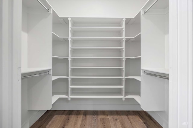 spacious closet featuring dark wood finished floors