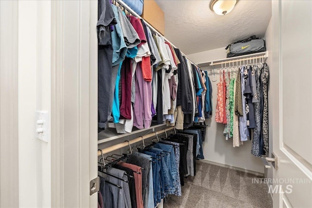 spacious closet with carpet