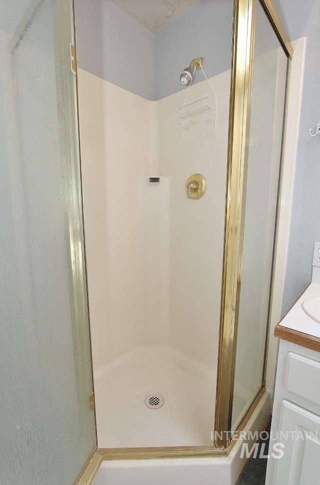 16696 Snowgoose St, Nampa, ID 83687 - full bath featuring a stall shower and vanity