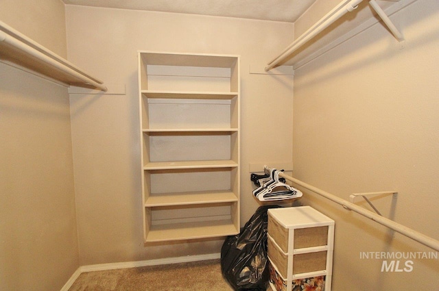 16696 Snowgoose St, Nampa, ID 83687 - spacious closet with carpet floors