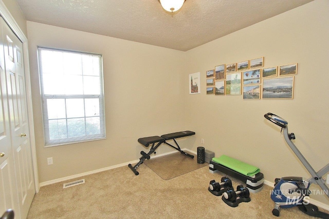 16696 Snowgoose St, Nampa, ID 83687 - exercise area with carpet floors and a textured ceiling