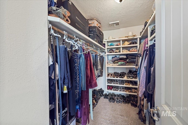2020 Widner Rd, Midvale, ID 83645 - walk in closet featuring carpet flooring