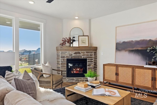 living room featuring a stone fireplace and hardwood / wood-style flooring