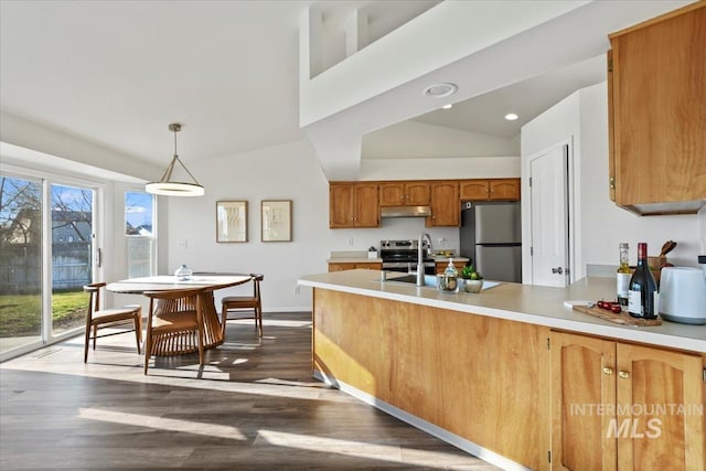 kitchen featuring stainless steel appliances, sink, lofted ceiling, dark hardwood / wood-style floors, and pendant lighting