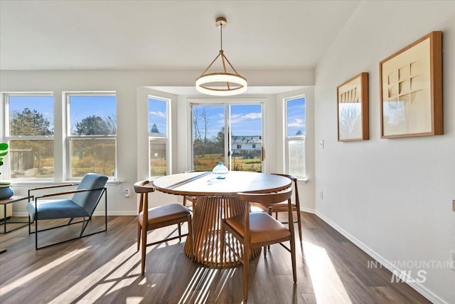 dining space featuring dark hardwood / wood-style floors