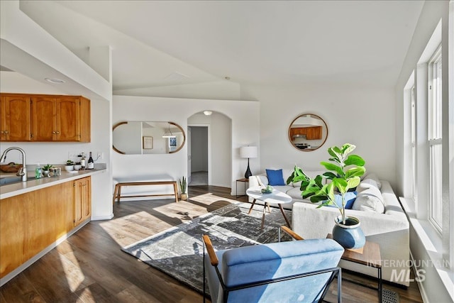 living room featuring sink, dark hardwood / wood-style flooring, and vaulted ceiling