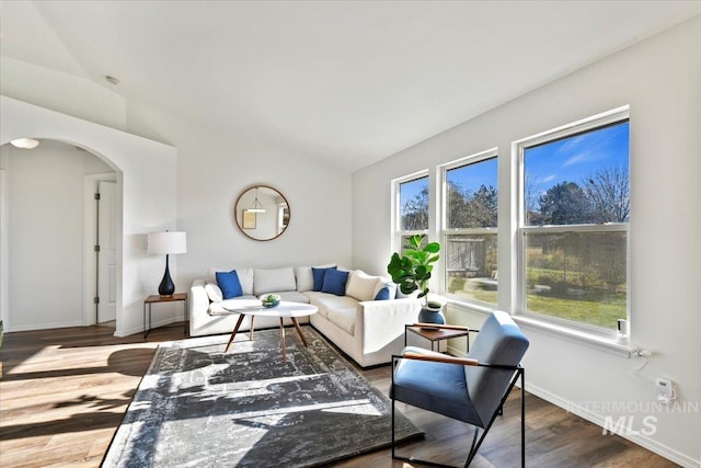 living room featuring lofted ceiling and hardwood / wood-style floors