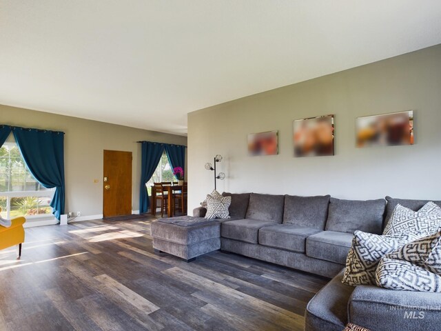 living room featuring hardwood / wood-style flooring