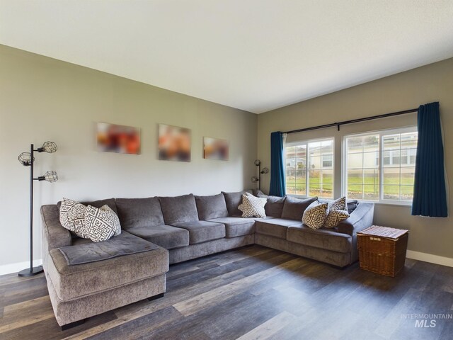 living room with dark hardwood / wood-style floors