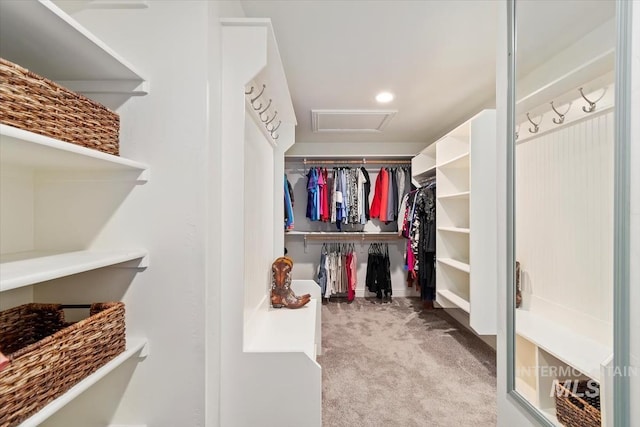 1512 E Rivers End Ct, Eagle, ID 83616 - spacious closet featuring attic access and carpet flooring