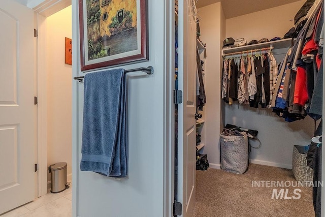 150 Cayuse Creek Dr, Kimberly, ID 83341 - bathroom with a walk in closet