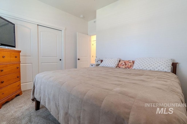 150 Cayuse Creek Dr, Kimberly, ID 83341 - bedroom with a closet and carpet