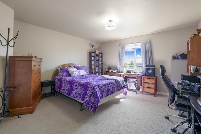 bedroom with carpet floors