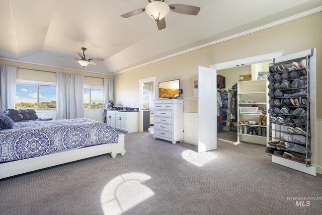 bedroom with lofted ceiling, ceiling fan, a spacious closet, light colored carpet, and a closet