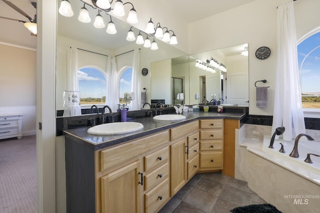 bathroom featuring vanity and a bath