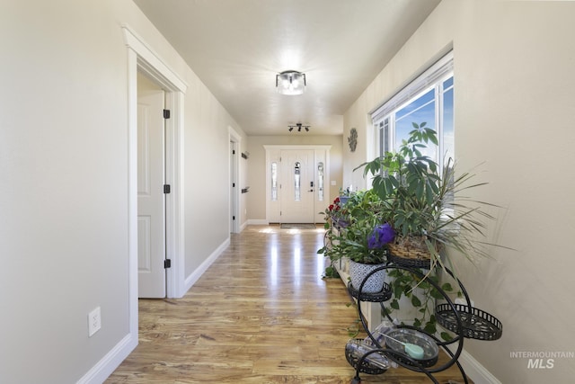 corridor with light wood-type flooring