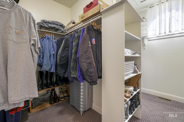 walk in closet featuring carpet floors
