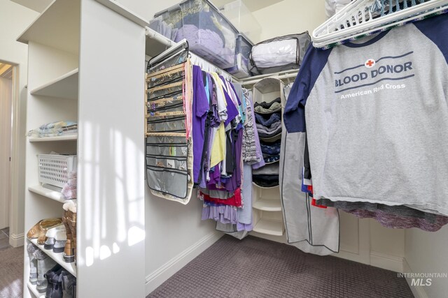 walk in closet with carpet floors