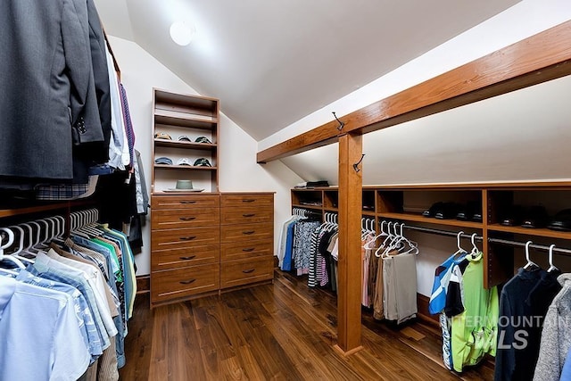 spacious closet with dark wood-type flooring and vaulted ceiling