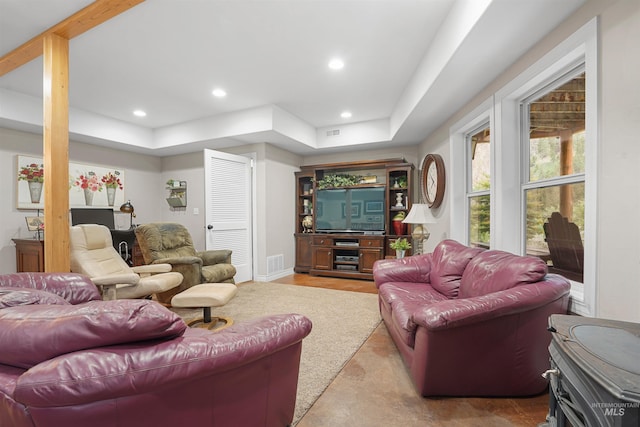 9 Autumn Blaze Ln, Salmon, ID 83467 - living room featuring a raised ceiling and recessed lighting