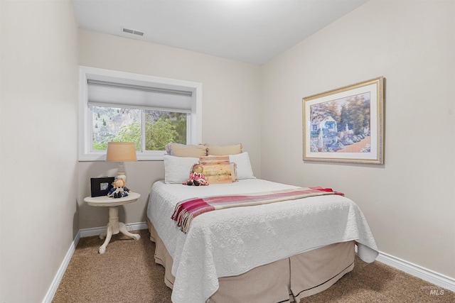 9 Autumn Blaze Ln, Salmon, ID 83467 - carpeted bedroom with baseboards