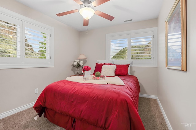9 Autumn Blaze Ln, Salmon, ID 83467 - bedroom featuring multiple windows, carpet, and baseboards