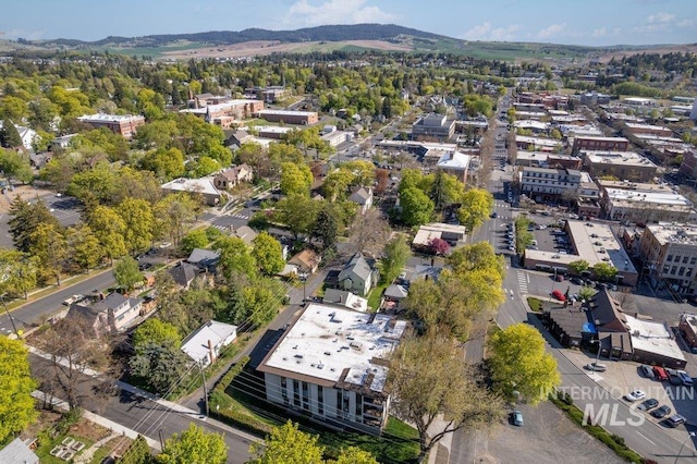 122 N Washington, Moscow, ID 83843 - bird's eye view with a mountain view