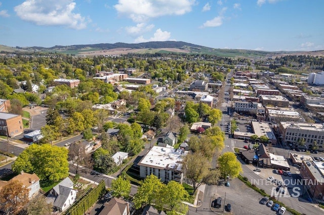 122 N Washington, Moscow, ID 83843 - bird's eye view with a mountain view
